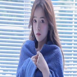 探索草莓、丝瓜、黄瓜、向日葵和榴莲的奇妙世界：从种植到应用的多元化视角